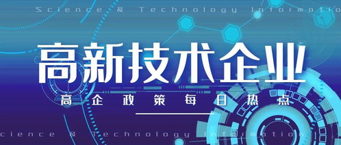 煙臺招遠(yuǎn)申請高新技術(shù)企業(yè)認(rèn)定代理公司指南 網(wǎng)絡(luò)技術(shù)服務(wù)篇